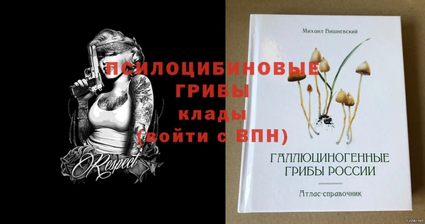 марки nbome Белокуриха
