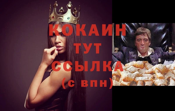 гидра Аркадак