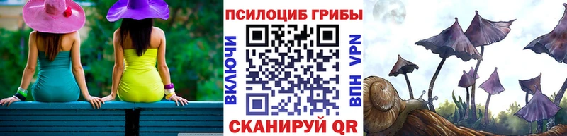 Купить закладки  Семилуки  Галлюциногенные грибы Cubensis 